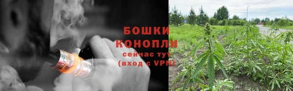 дмт Чегем