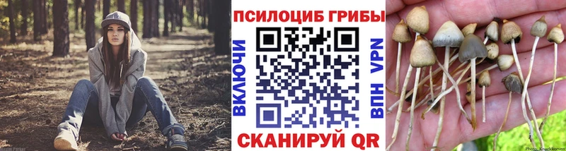 Псилоцибиновые грибы Cubensis Видное